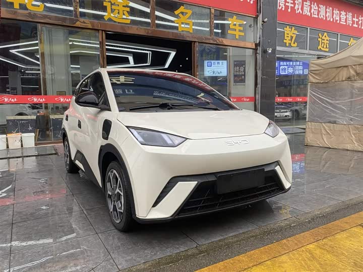 Фото 3 - BYD Seagull