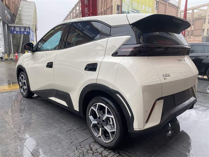 Фото 7 - BYD Seagull