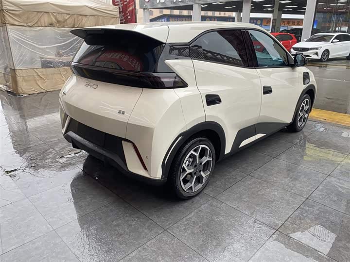 Фото 9 - BYD Seagull