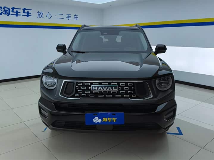Фото 2 - Haval H-Dog