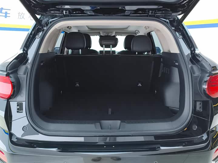 Фото 4 - Haval H-Dog