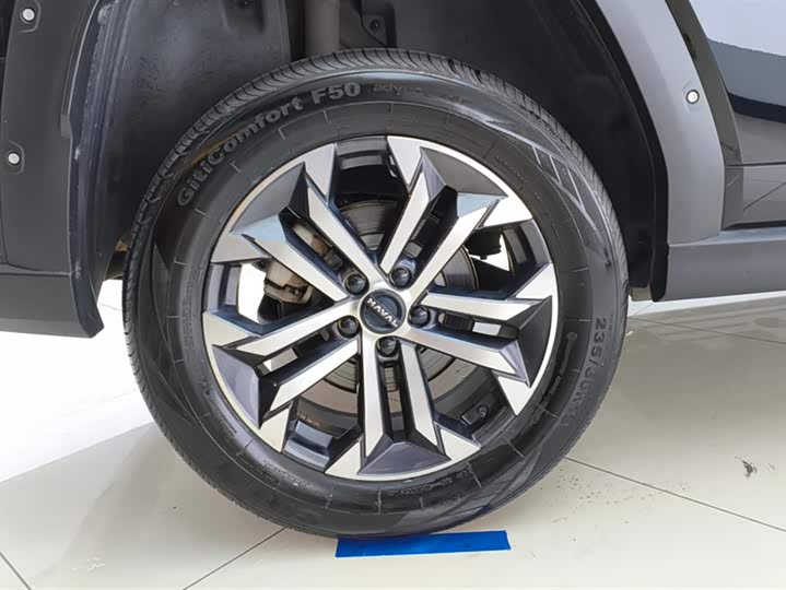 Фото 6 - Haval H-Dog