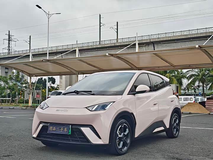 Фото 1 - BYD Seagull