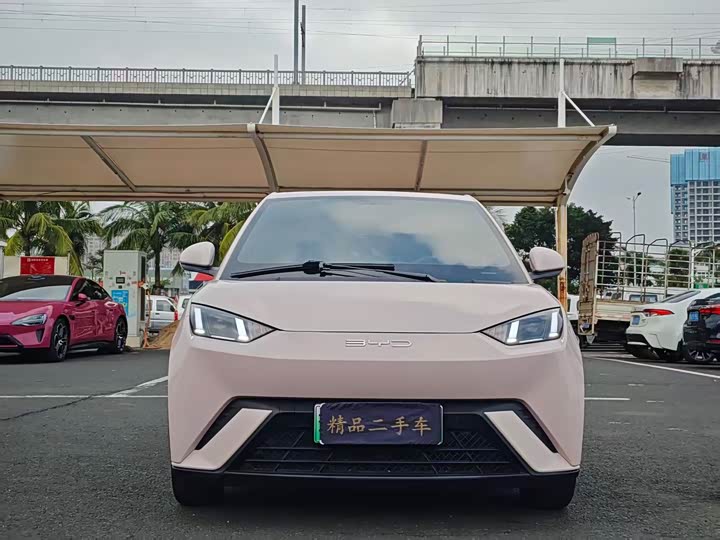 Фото 2 - BYD Seagull