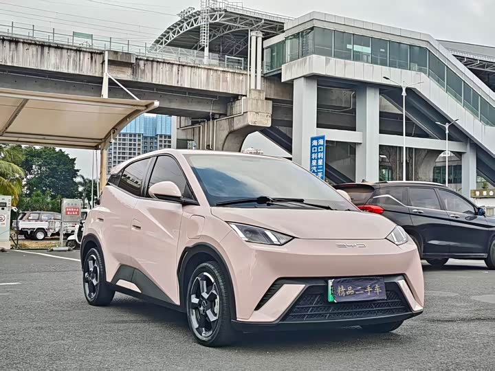 Фото 3 - BYD Seagull