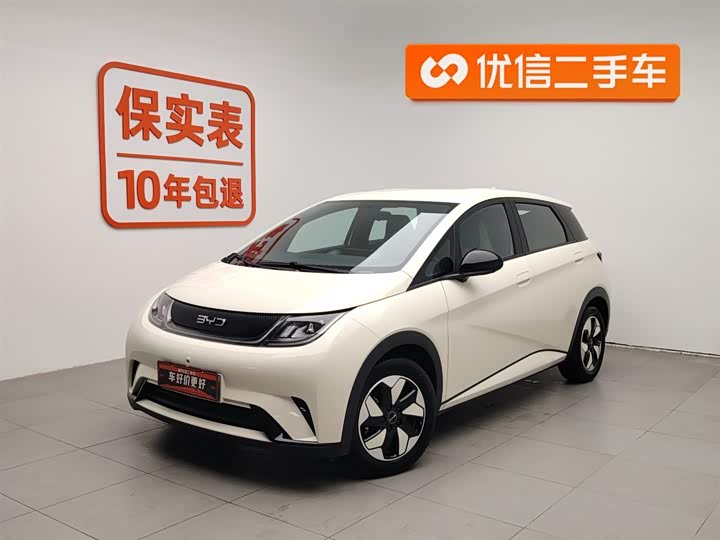 Фото 1 - BYD Dolphin