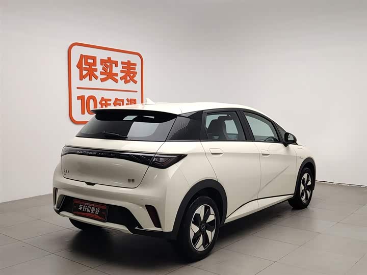 Фото 2 - BYD Dolphin