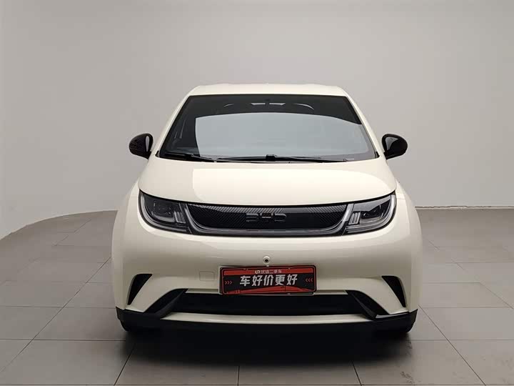 Фото 3 - BYD Dolphin