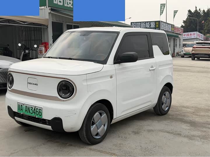 Фото 1 - Geely Galaxy Panda Mini