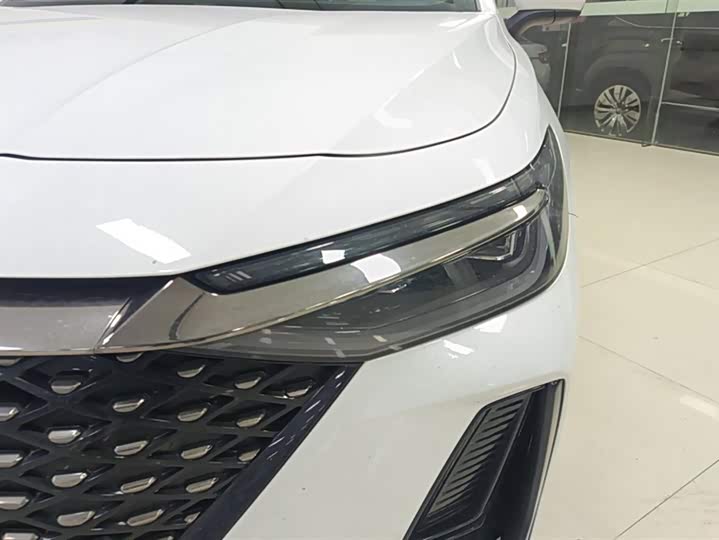 Фото 5 - Chery Fulwin A8