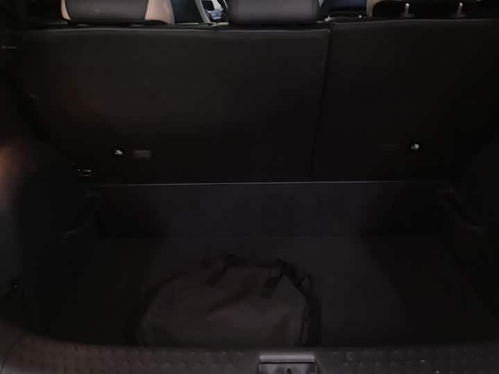 Фото 4 - BYD Dolphin