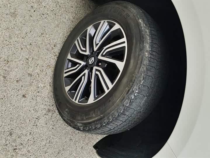 Фото 6 - Nissan Terra