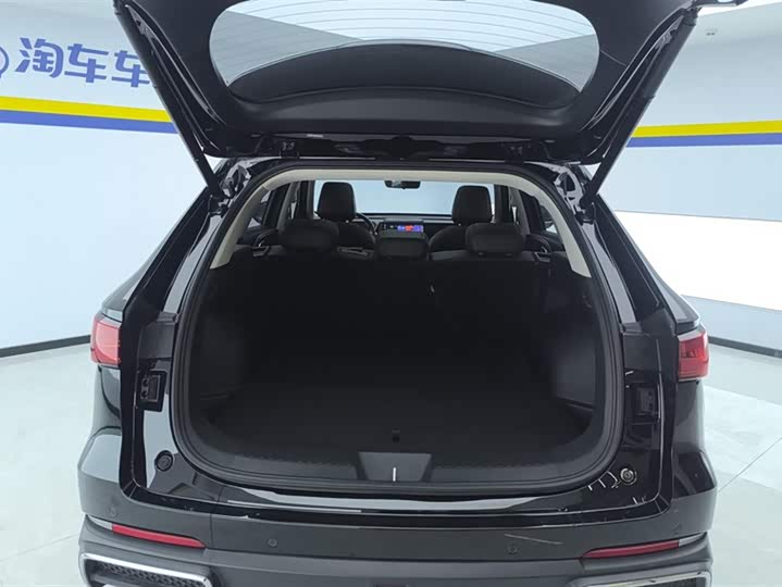 Фото 4 - Haval Ruge Max