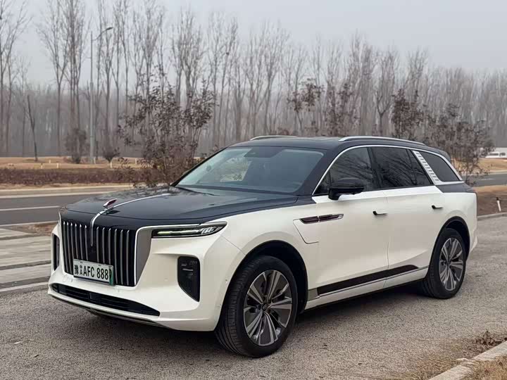 Фото 1 - Hongqi E-HS9