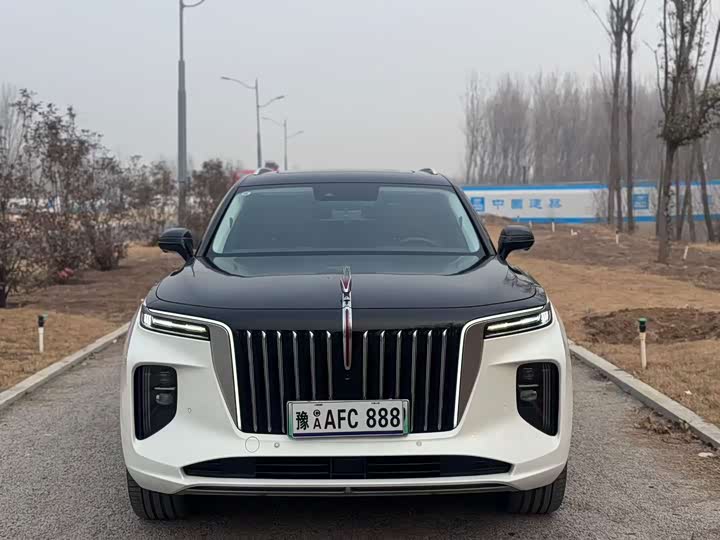 Фото 2 - Hongqi E-HS9