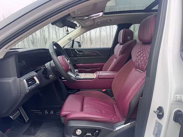 Фото 3 - Hongqi E-HS9