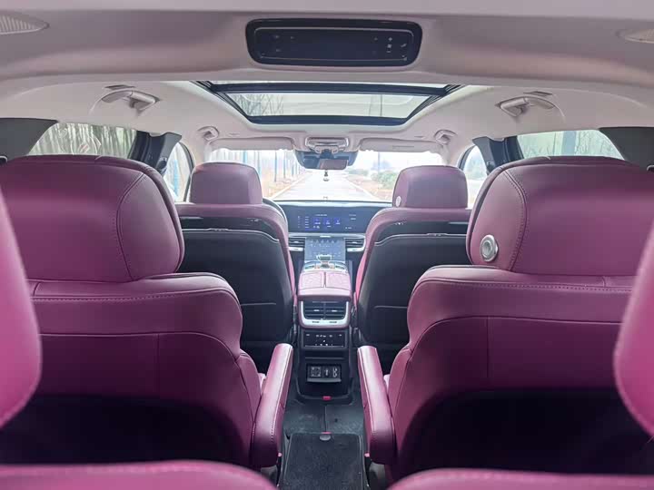 Фото 6 - Hongqi E-HS9