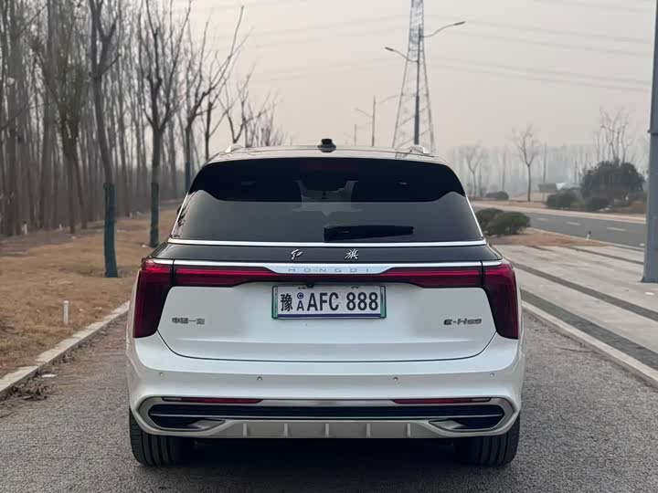 Фото 8 - Hongqi E-HS9