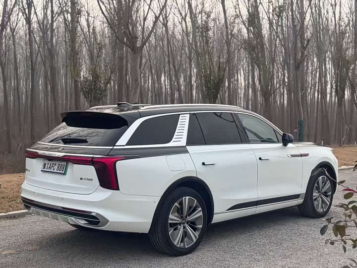 Фото 9 - Hongqi E-HS9