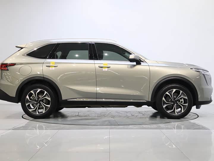 Фото 6 - Haval Ruge Max