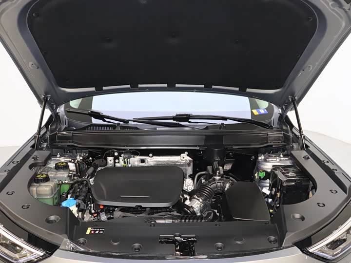 Фото 7 - Haval Ruge Max