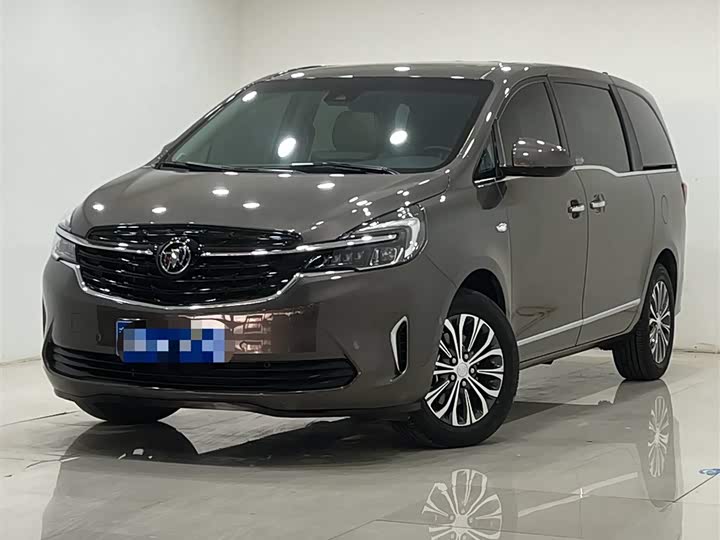 Фото 1 - Buick GL8 ES