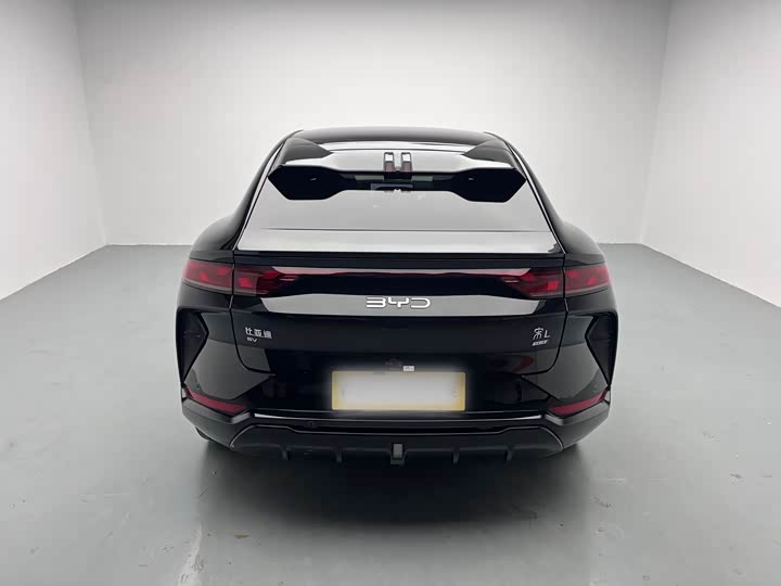 Фото 5 - BYD Song L