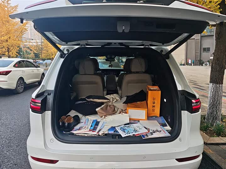 Фото 4 - LiXiang One