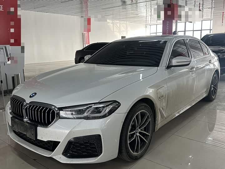 Фото 1 - BMW 5 Series Hybrid