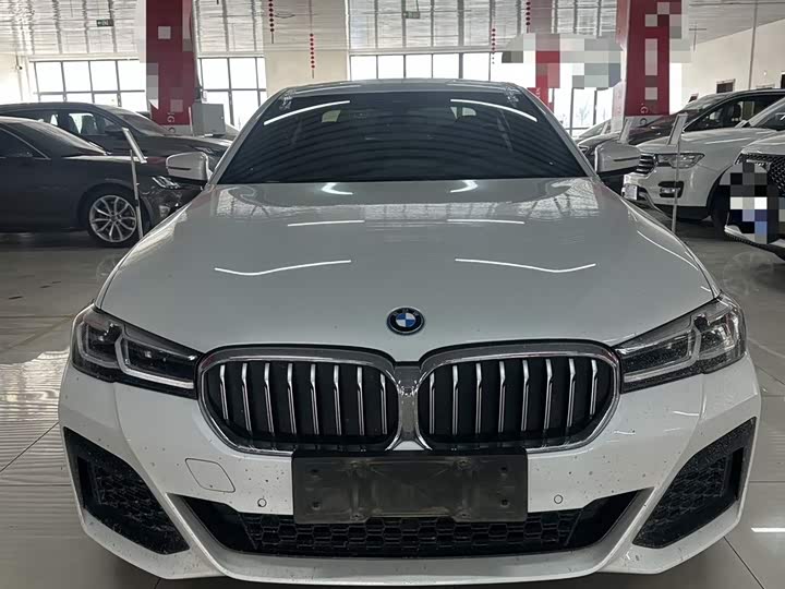 Фото 2 - BMW 5 Series Hybrid