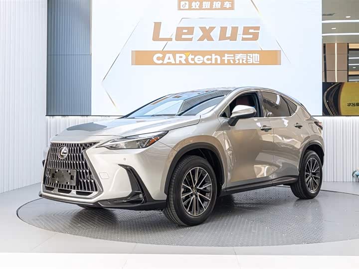Фото 1 - Lexus NX