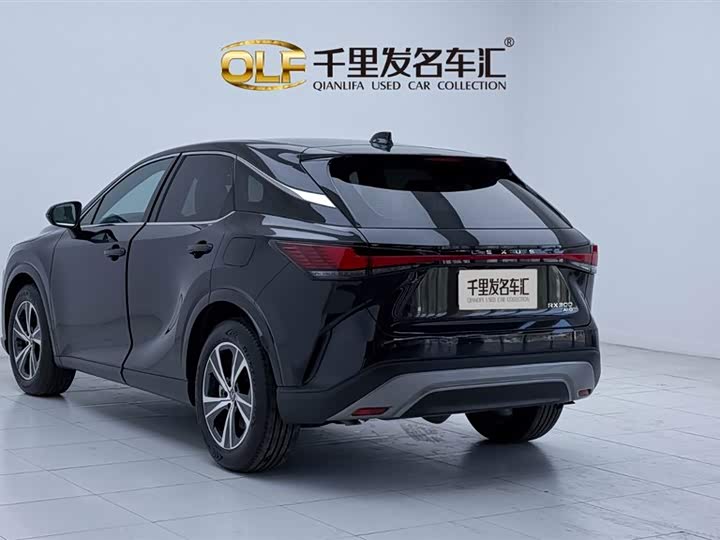 Фото 4 - Lexus RX