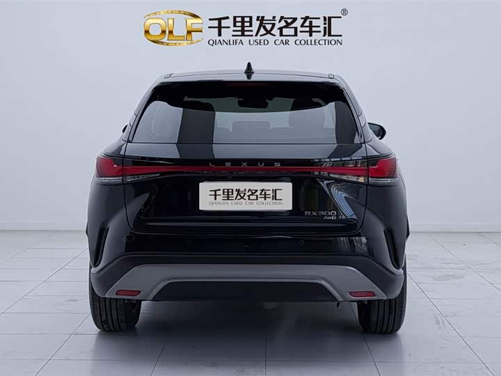 Фото 5 - Lexus RX