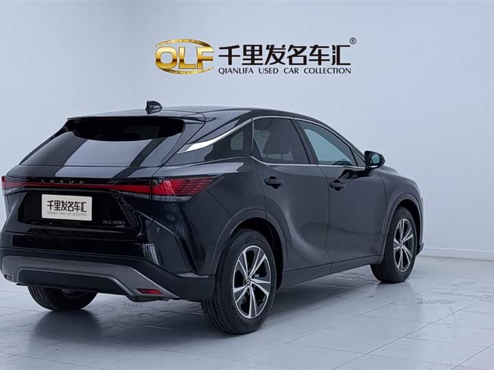 Фото 6 - Lexus RX