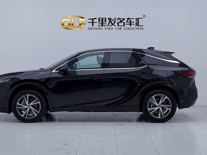 Фото 7 - Lexus RX