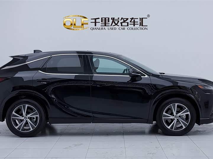 Фото 8 - Lexus RX