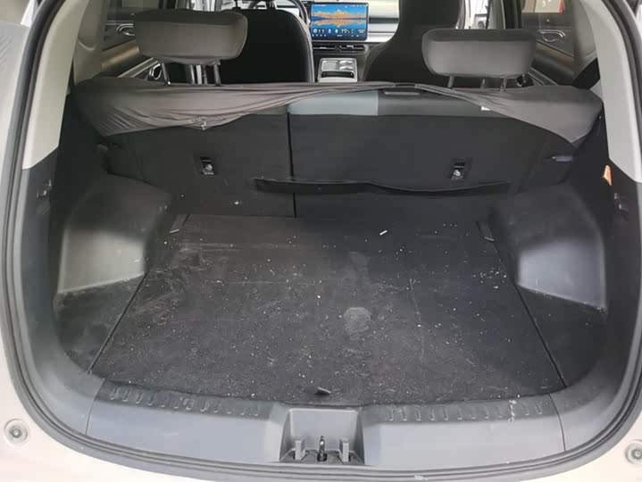 Фото 4 - GAC Aion Y