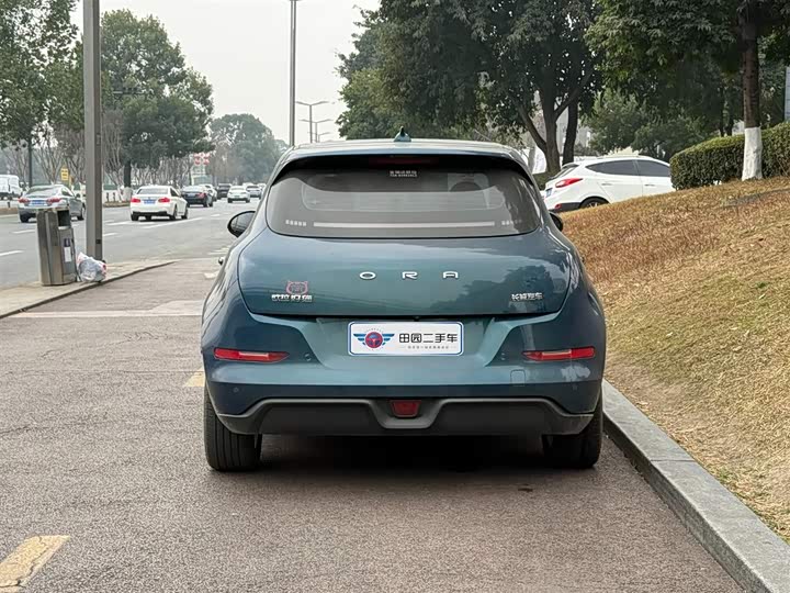 Photo 5 - Ora Good Cat (03)