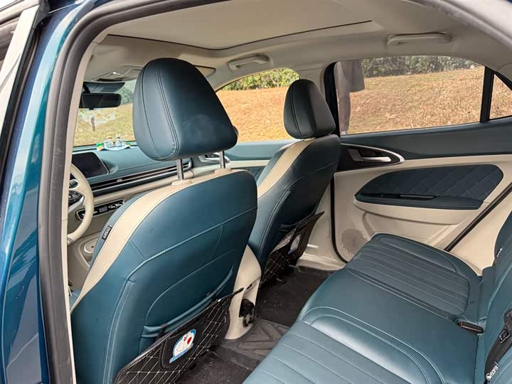 Photo 9 - Ora Good Cat (03)