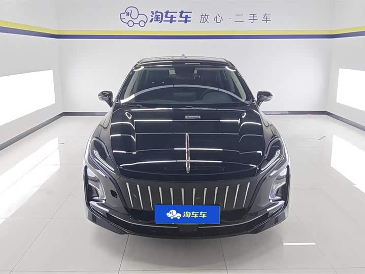 Фото 2 - Hongqi E-QM5