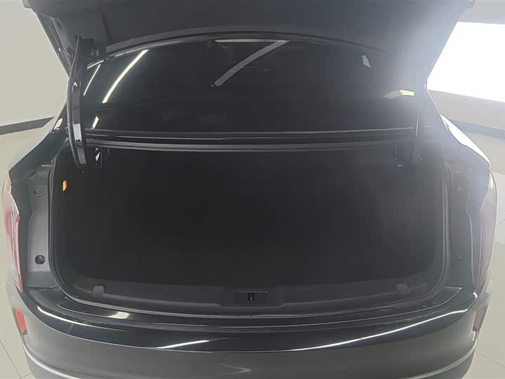 Фото 4 - Hongqi E-QM5