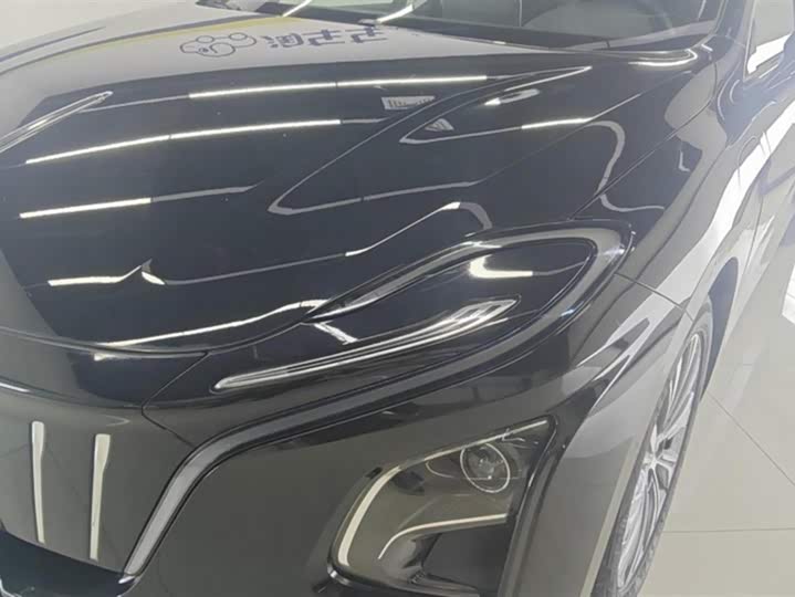 Фото 5 - Hongqi E-QM5