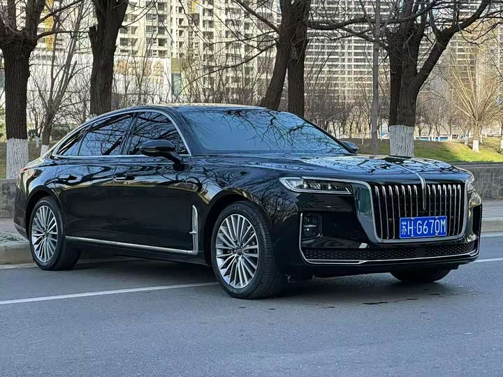 Фото 2 - Hongqi H9