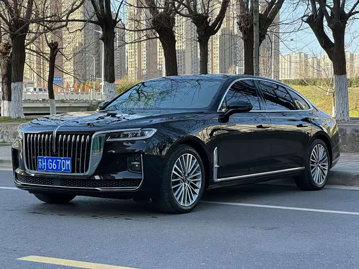 Фото 3 - Hongqi H9