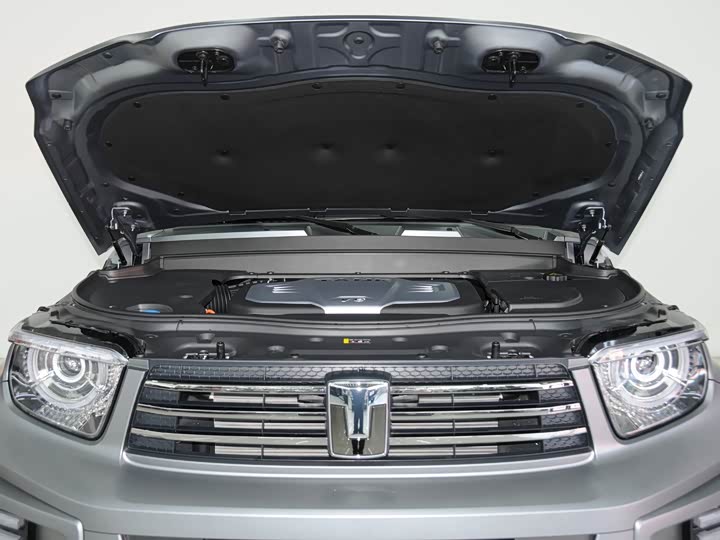 Фото 6 - Tank 700 Hybrid