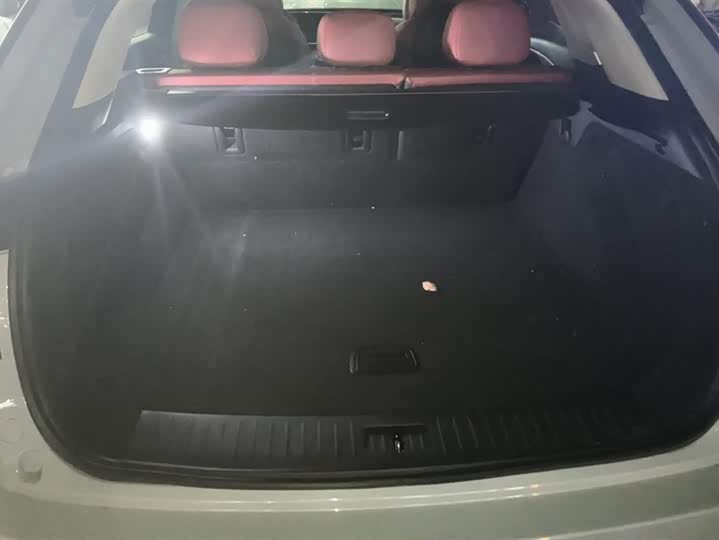 Фото 4 - Exeed RX