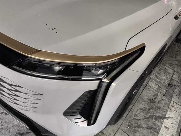 Фото 5 - Exeed RX