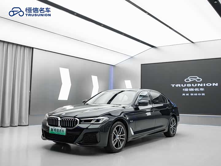 Фото 1 - BMW 5 Series Hybrid