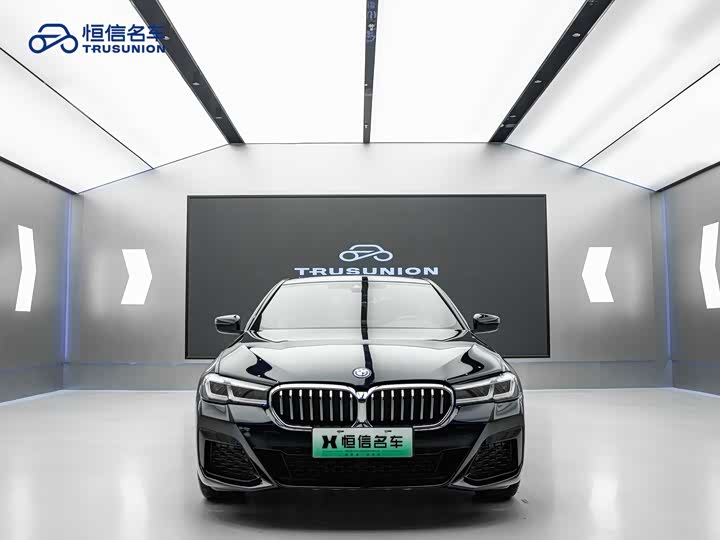 Фото 2 - BMW 5 Series Hybrid