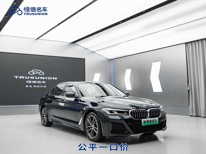 Фото 3 - BMW 5 Series Hybrid